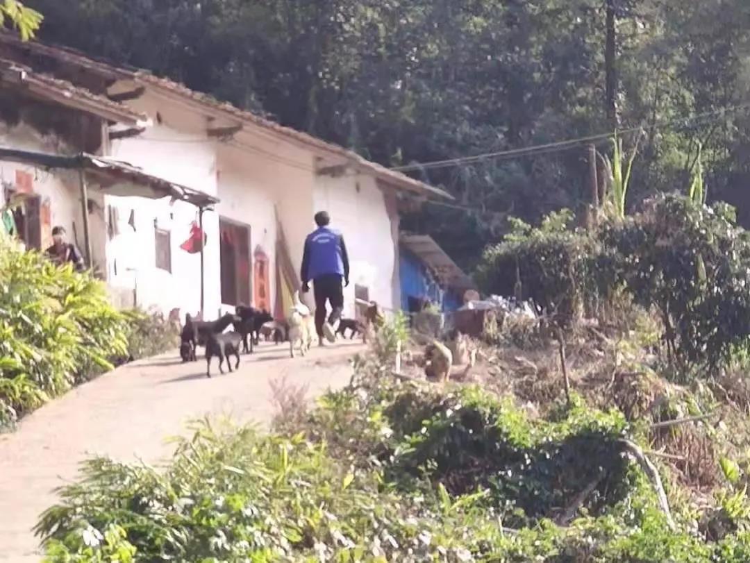 阳春房地一体项目纪实丨无悔青春多砥砺，，最是奋斗感人心