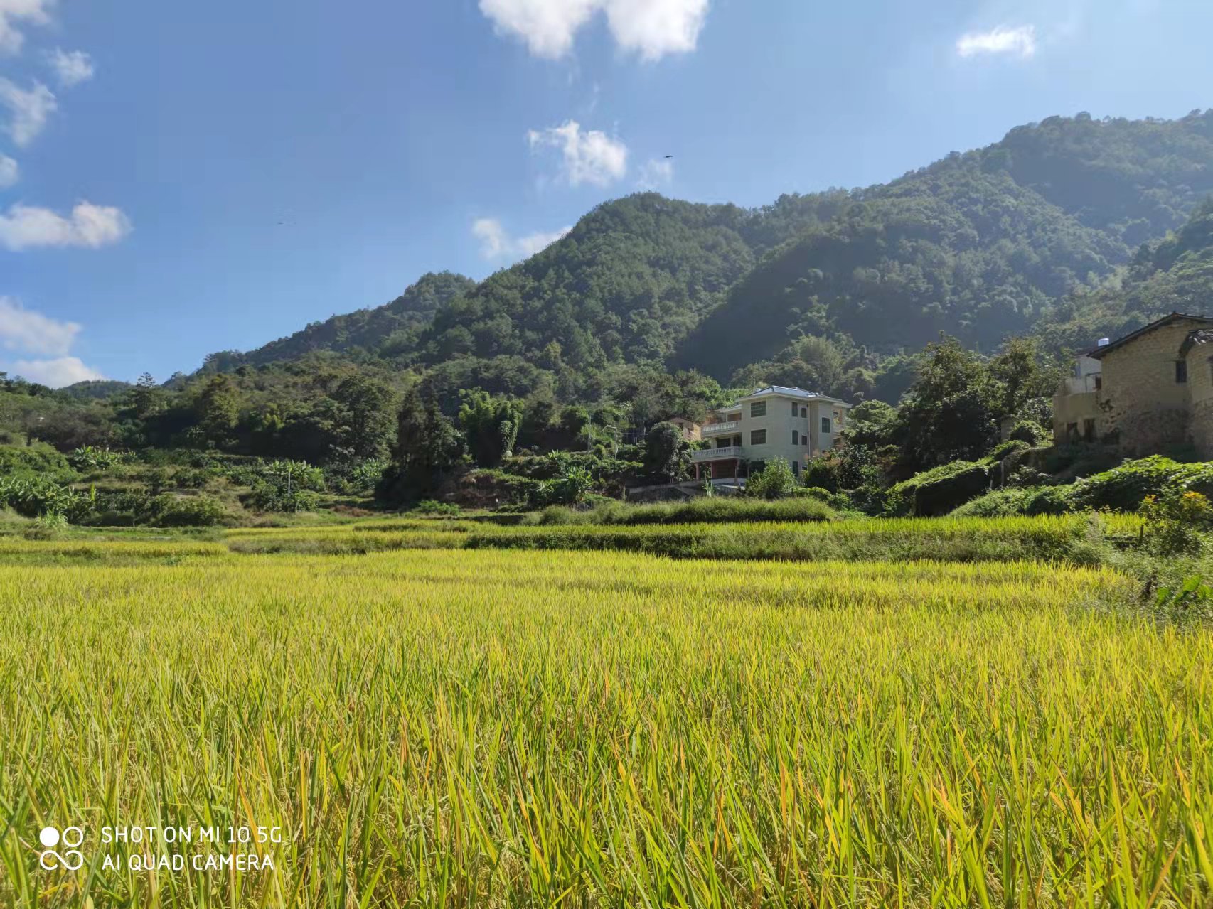 恢复（增补）耕地项目怎么干？？威客电竞VKGAME有话说