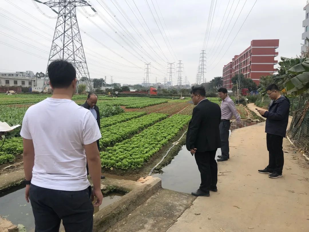 助力墟落振兴，威客电竞VKGAME一直在起劲！！