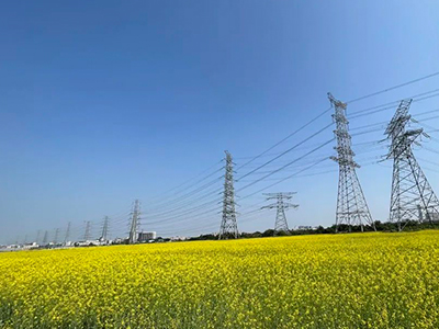 威客电竞VKGAME妄想丨央视点赞东莞厚街复耕良田盛开迎春花！！！