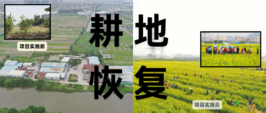 耕地；び刖蒙す踩凇甘泻窠终蛩谏缜读继锵钅扛鼗指从氤窍缛诤系牧⒁焓导