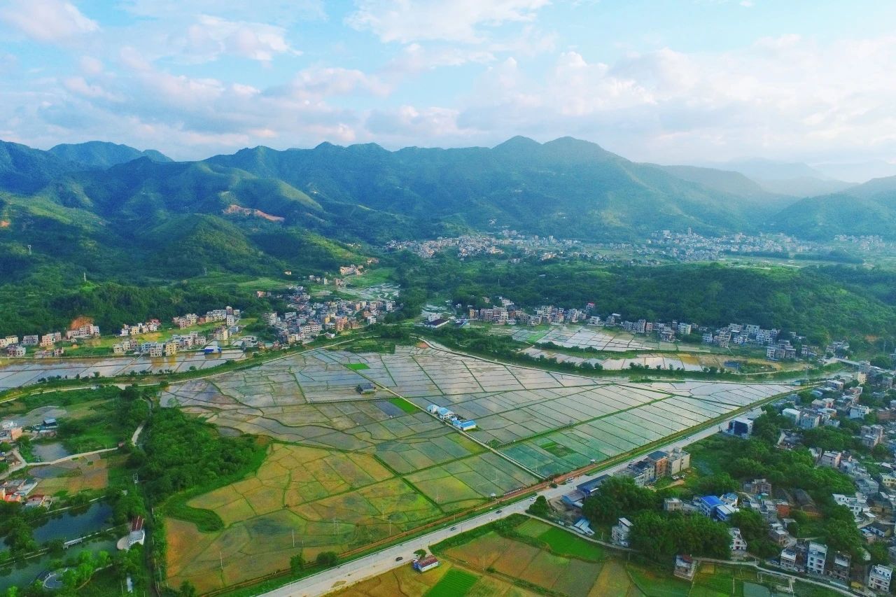 威客电竞VKGAME集团丨“百万万工程”显实效：：：云浮罗定泗纶镇以全域土地综合整治为抓手，，绘就墟落振兴新画卷