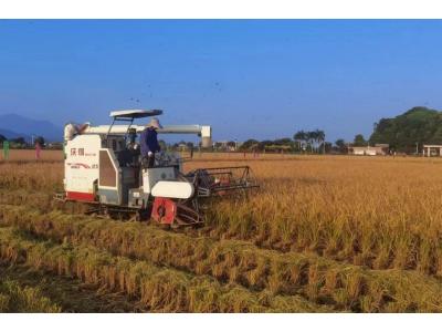 威客电竞VKGAME评估与妄想公司荣获“耕地；；び乓煳朗康ノ弧！！